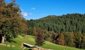 Trail Walking Malons-et-Elze - Serre de Barre au départ de Malons  - Photo 1