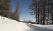 Trail Snowshoes Montricher-Albanne - Albanne - Prario -la Plagne - le Belvedere - Photo 4