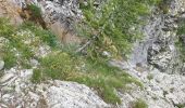 Trail Walking Villars-Colmars - Chasse - Photo 20