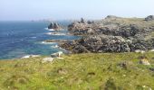 Tocht Stappen Ouessant - Lampaul - tour nord d'Ouessant - Photo 10