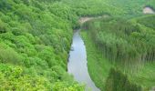 Tocht Stappen Bouillon - De Rochehaut vers Poupehan  - Photo 4