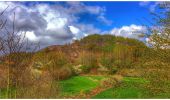 Tour Wandern Fleurus - Balade dans le Bois de Soleilmont - Photo 4