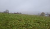 Trail Walking Namur - Wepion 211123 - Photo 10