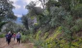 Trail Walking Le Muy - L'Escaillon et le tour de Guet - Photo 1