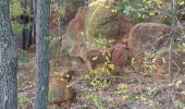 Percorso Marcia Roussillon - Roussillon  - Photo 1