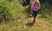 Tour Wandern Bouxières-aux-Chênes - bouxieres aux chênes - Blanzey - Photo 20