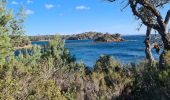 Excursión Senderismo La Londe-les-Maures - La Londe - L'argentiere vers le Pellegrin - Photo 6