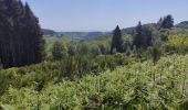 Trail Walking Unknown - Randonnée sur les plateaux au dessus du village de Moulins -Chérier - Photo 7