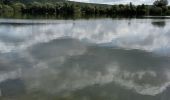 Tour Wandern Condé-sur-Risle - Circuit des faneuses -Condé sur Risle-St Christophe sur Condé  - Photo 6