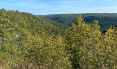 Tour Wandern Étaules - Etaule - Photo 1