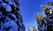 Tocht Ski randonnée Selonnet - 20210218 - Tête grosse - Chabanon - Selonnet - Photo 2