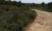 Trail Walking Montagnac - Montagnac balade vigneronnr - Photo 1