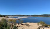 Tour Wandern Rocles - Palhères - lac de Naussac - Bessettes - Photo 5