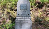 Randonnée Marche Jalhay - solwaster . Sawe . Statte - Photo 19