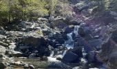 Tocht Stappen Crévoux - la cascade de Razis - Photo 12