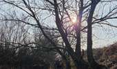 Trail Walking Les Bons Villers - Mellet - Saint-Amand - Photo 8
