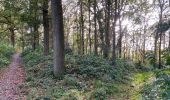 Trail Walking Woensdrecht - Volksabdij kalmthoutse Heide 22 km - Photo 3