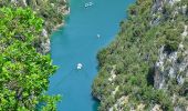 Excursión Senderismo Quinson - Quinson - Basses Gorges - Chapelle Ste Maxime - Baume des Pierres - Photo 1