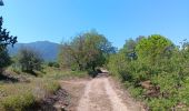 Trail Walking Laroque-des-Albères - laroque . four solaire . sorede . laroque - Photo 3