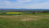 Tocht Stappen Mazerier - Les collines de Mazerier  - Photo 1