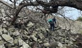 Tocht  Pranles - Volcan des Chirouses - Azur - Photo 16