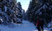 Trail Snowshoes La Tour-d'Auvergne - Chastreix11-01-24 - Photo 2