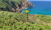 Randonnée Marche Cléden-Cap-Sizun - Pointe du Van - Photo 19