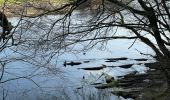 Tour Wandern Bouillon - Corbion  - Photo 4