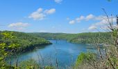 Tour Wandern La Tour-du-Meix - A la découverte du lac de Vouglans 🥾 - Photo 11