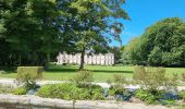 Randonnée Marche Sassetot-le-Mauconduit - Chateau de Sissi -St Pierre- les Dalles - Photo 3