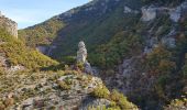 Trail Walking Val-Buëch-Méouge - les gorges de la Méouge - Photo 17