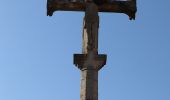 Tocht Te voet Villeneuve-sous-Charigny - Le Sentier des Oiseaux - Photo 4