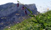 Trail Walking Saint-Pierre-de-Chartreuse - Peitt-Som-2022-06-19 - Photo 3