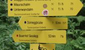 Tour Zu Fuß Großarl - Wanderweg 73 - Photo 7
