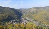 Percorso A piedi Szarvaskő - Szarvaskői Geológiai Tanösvény - Photo 8