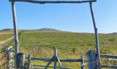 Tour Wandern Pailherols - Pailherols  route de la montagne, plomb du Cantal - Photo 5