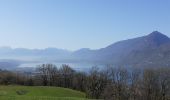Trail Walking Brison-Saint-Innocent - les granges de Brison - Photo 13