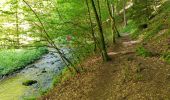 Randonnée Marche Engins - Les gorges du Bruyant - Photo 5