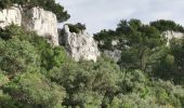 Tocht Stappen Ollioules - Les grottes de Chateauvallon - Photo 10