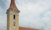 Percorso A piedi Brașov - Timișu de Jos - Cabana Postăvaru/Julius Romer - Brașov - Photo 6