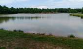 Trail Walking Bossieu - bossieu foret de bonnevaux - Photo 1