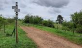 Tocht Mountainbike Pont-à-Mousson - essai 4 LEVO SL - Photo 3