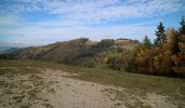 Excursión A pie Gratwein-Straßengel - Wanderweg 32, Kogelleitenweg - Photo 7