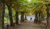 Tocht Te voet Bensheim - Rundwanderweg Bensheim Herrenwingert 8: Fürstenlager-Weg - Photo 10