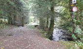 Tour Wandern La Bourboule - La Bourboule - Roche de Vendée- Rocher de l Aigle - Photo 15