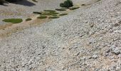 Trail Walking Bédoin - Sentier des Glacières + Col des Tempêtes - Photo 2