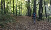 Trail Walking Auderghem - Oudergem - Balade en forêt de Soignes - Auderghem - Photo 6