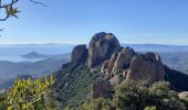 Trail Walking Saint-Raphaël - Belle Barbe Pic d'Aurelle Pic du Cap Roux Grotte St Honorat - Photo 5