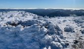 Tour Skiwanderen Saint-Front - 2022 01 randonnées en MEZENC : montée au Mont MEZENC et tour du Mont d’Alambre. - Photo 3