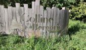 Excursión Senderismo Cambo-les-Bains - CAMBO du CV au départ de la bergerie  - Photo 2